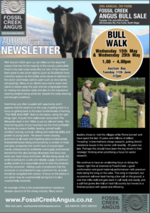 Newsletter