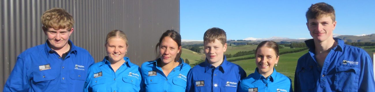 Archie, Lucy, Millie, George, Charlotte, Henry - our Sale 'A Team'