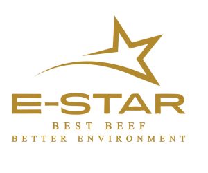 Job 3 ESTAR logo Job 3 ESTAR logo