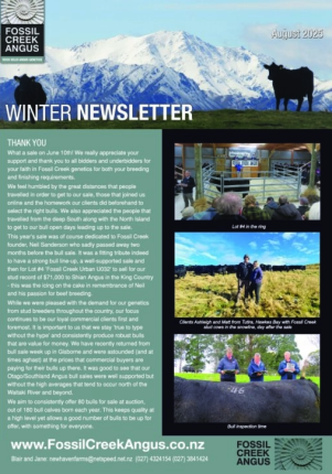 Winter newsletter photo